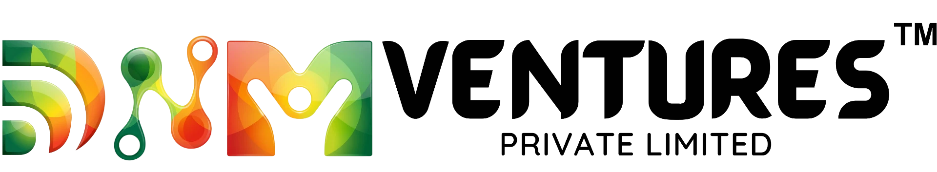 DNM Ventures Private Limited logo